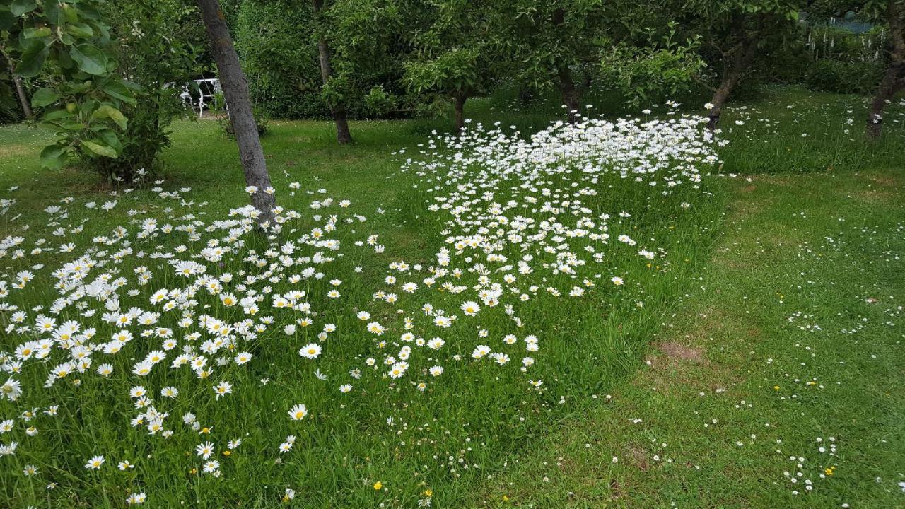 B&B Eenvoud In Overvloed Vleteren Εξωτερικό φωτογραφία